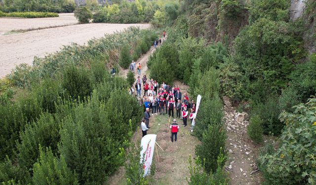 Muğla'da defne üretiminden 35 milyon lira gelir