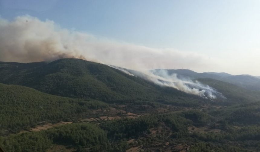 Muğla'da yangınlar kısmen kontrol altına alındı