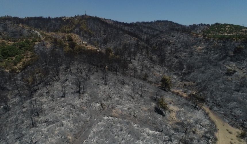 Ormanlık alanları küle çeviren yangın drone ile görüntülendi