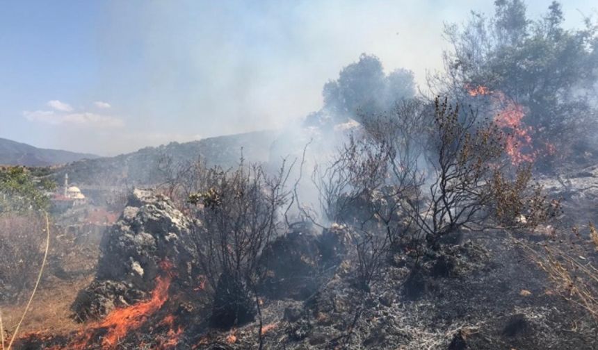 Muğla'da orman yangını: Havadan ve karadan müdahale ediliyor