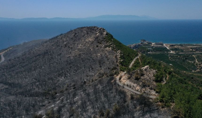 Menderes’te yangın sonrası korkutan görüntü! Ciğerlerimiz kül oldu