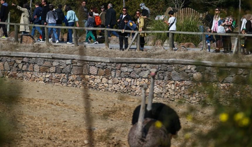 İzmir'de güzel havayı fırsat bilenler Doğal Yaşam Parkı'na gitti