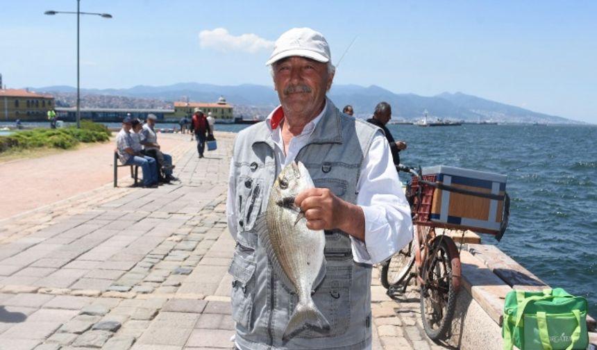 İzmir'de çipura ve lidaki sezonu erken açıldı