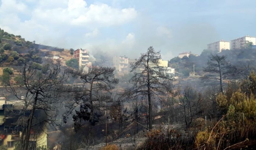 İzmir'de korkutan yangın!