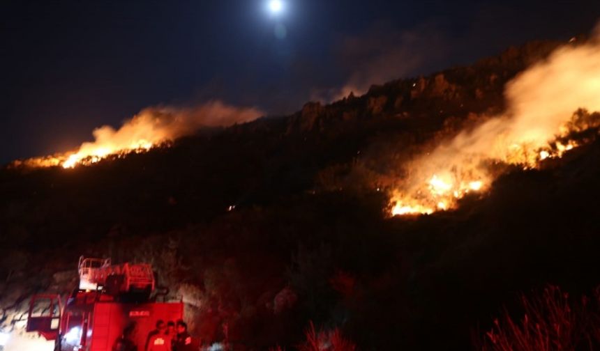 Muğla'da korkutan yangın! Rüzgarın etkisiyle çevreye yayıldı