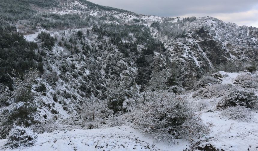 Spil Dağı zirvesi beyaza büründü