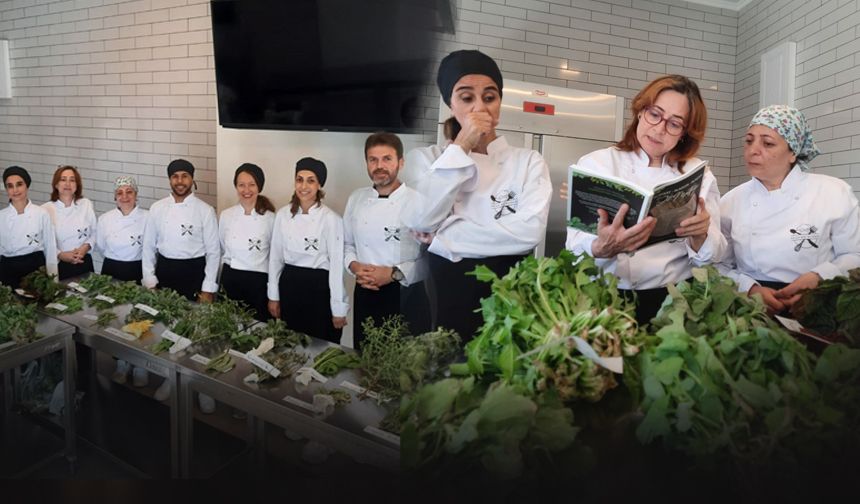Ücretsiz eğitimler... Ege Üniversitesi Gastronomi Akademisi Çeşmelilerden yoğun ilgi gördü