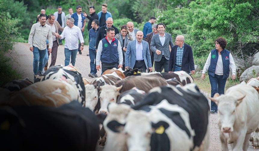 Bergama'da geleneksel yayla yolculuğu başladı