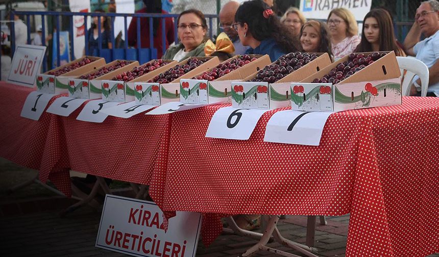 Kemalpaşa'da 50. Kiraz Festivali başlıyor