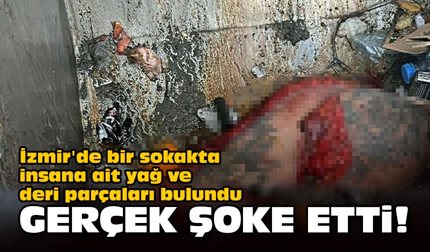 İzmir'de bir sokakta insana ait yağ ve deri parçaları bulundu... Gerçek şoke etti!