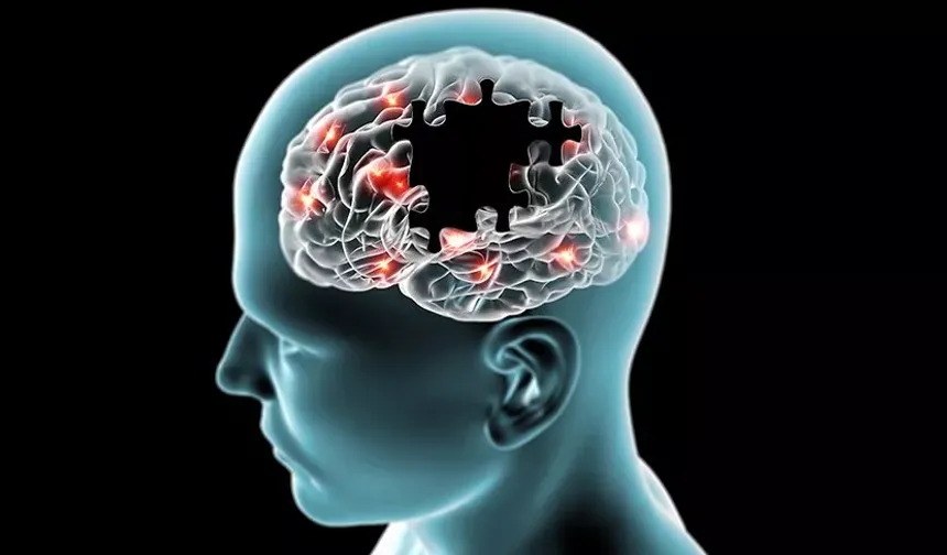 Demans ve Alzheimer belirtileri nelerdir?