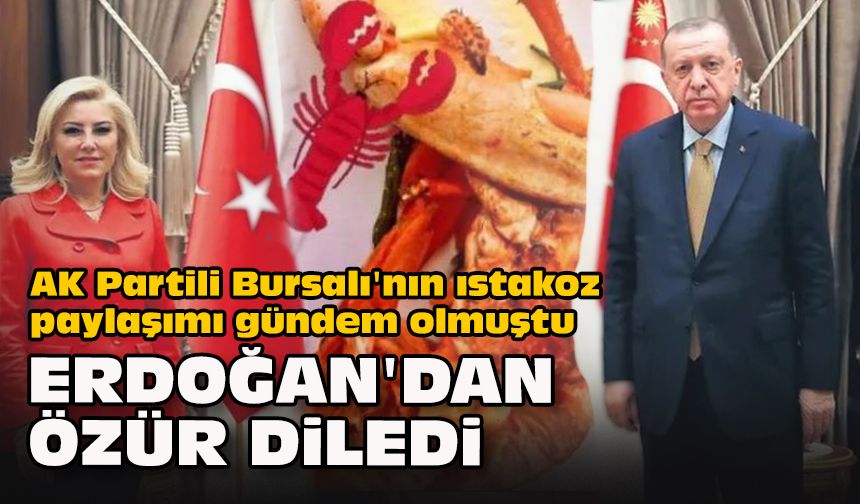 AK Partili Bursalı'nın ıstakoz paylaşımı gündem olmuştu... Erdoğan'dan özür diledi