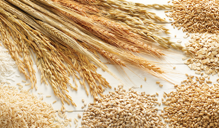 Buğday hasadı geldi... İşte güncel buğday alım fiyatı tahmini