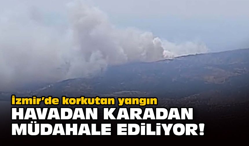 İzmir'de korkutan yangın... 15 dakika müdahaleye başlandı!