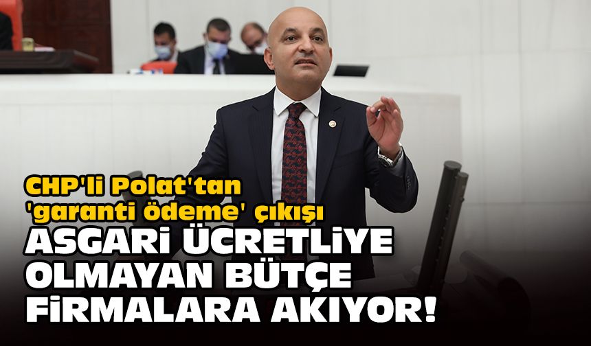 CHP'li Polat'tan 'garanti ödeme' çıkışı... Asgari ücretliye olmayan bütçe firmalara akıyor
