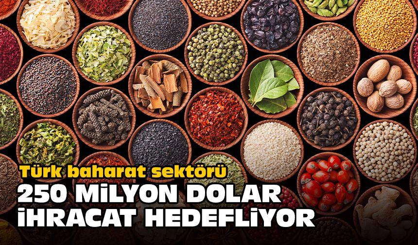 Türk baharat sektörü 250 milyon dolar ihracat hedefliyor