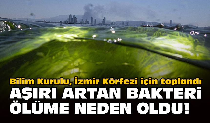 Bilim Kurulu, İzmir Körfezi için toplandı... Aşırı artan bakteri ölümlere neden oldu!