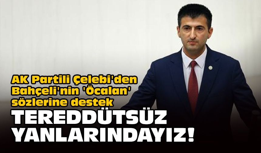 AK Partili Çelebi'den Bahçeli'nin 'Öcalan' sözlerine destek... Tereddütsüz yanlarındayız!