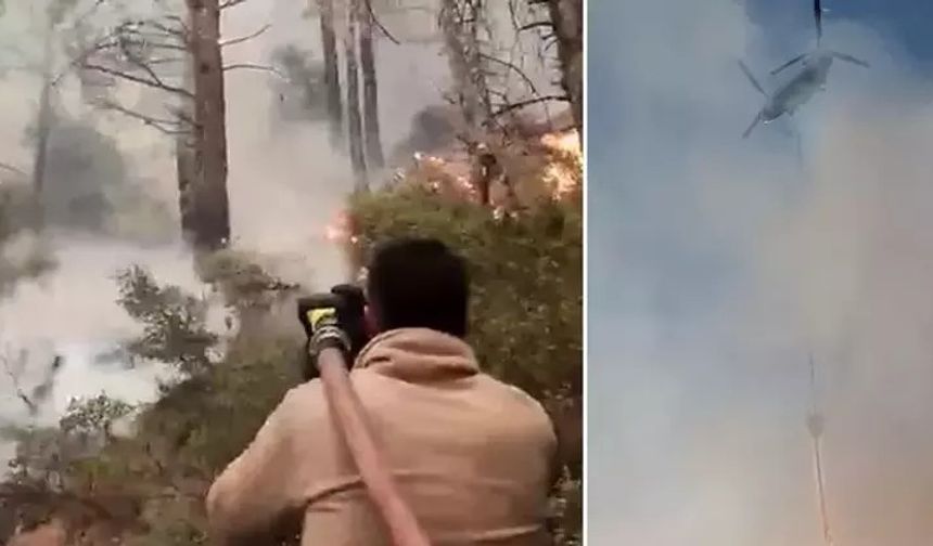 Denizli'de orman yangını 4'üncü gününde