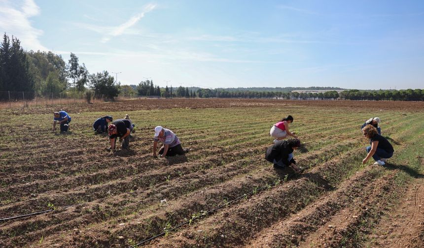 Buca’da CHP’li kadınlar bağış arazisine 8 bin fide dikti