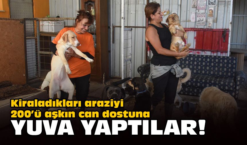 Kiraladıkları araziyi 200’ü aşkın can dostuna yuva yaptılar