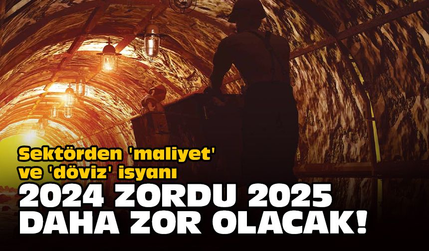 Sektörden 'maliyet' ve 'döviz' isyanı... 2024 zordu 2025 daha zor olacak!