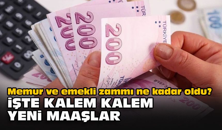 Memur ve emekli zammı ne kadar oldu? İşte kalem kalem yeni maaşlar