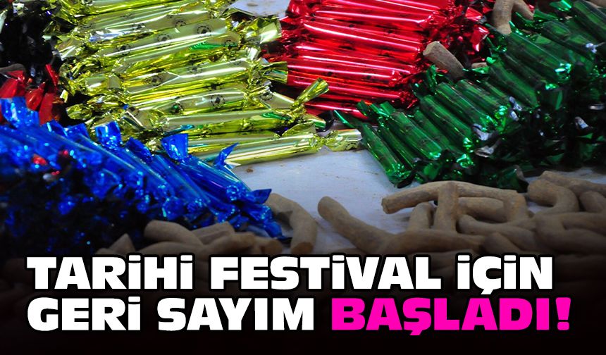 Tarihi festival için geri sayım başladı!