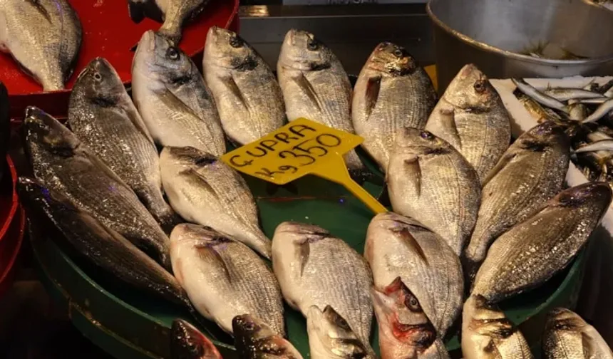 Yasağın başlamasına iki gün kala fiyatları dibe vurdu