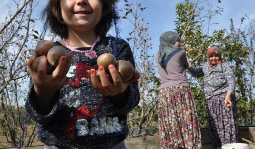 Günde 7 tane yiyince böbrekleri tertemiz yapıyor