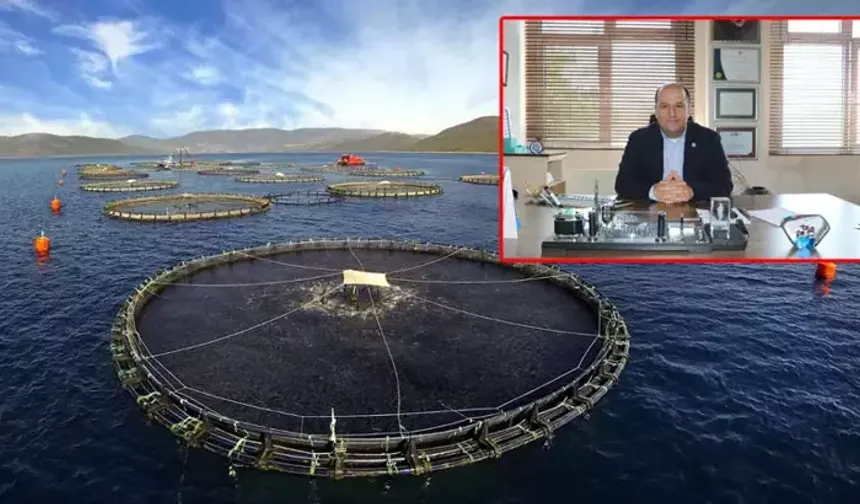 Prof. Dr. Dinçer: Kültür balıkları en güvenilir gıdalar arasında