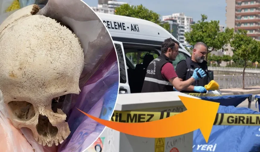Sitenin çöpünden çıkan kafatasının sırrı çözüldü!