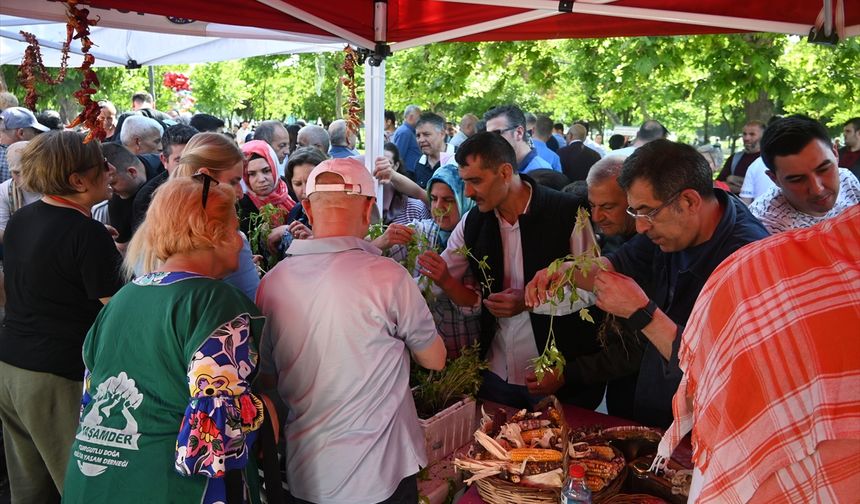 Turgutlu'da yerel tohum takas ve bahar şenliği düzenlendi