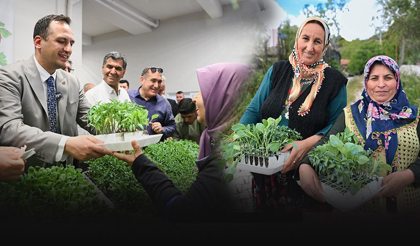 Bornova'da üreticiye destek... 400 bin yazlık fide dağıtımı başladı!