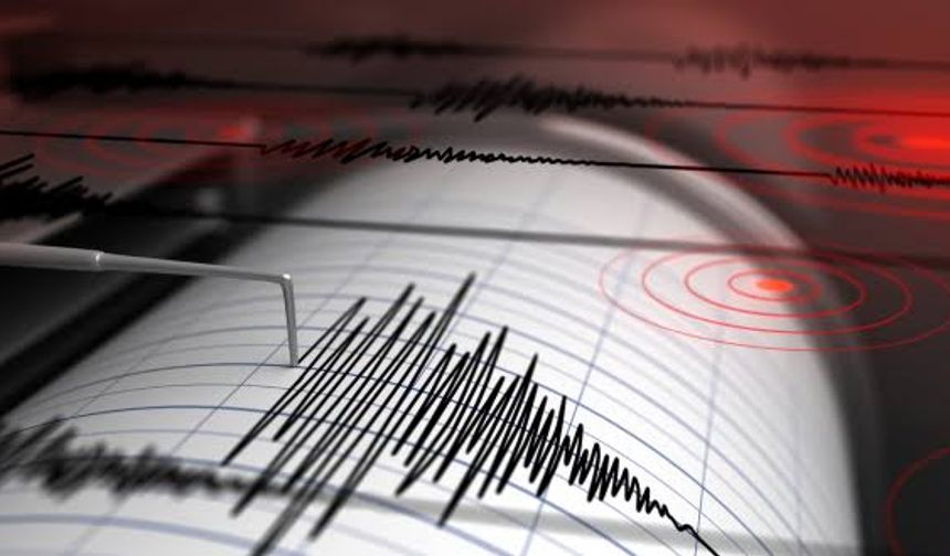 Muğla'da 6,0 şiddetinde deprem... İzmir'i fena salladı!