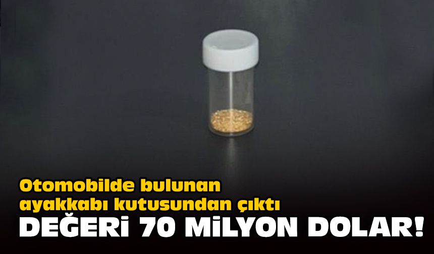Otomobilde bulunan ayakkabı kutusundan çıktı... Değeri 70 milyon dolar!