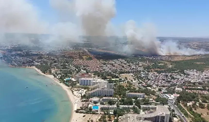 Aydın’da makilik yangını
