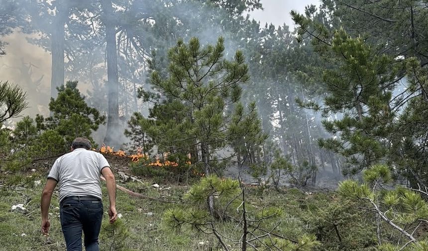 Denizli'de çıkan orman yangını söndürüldü