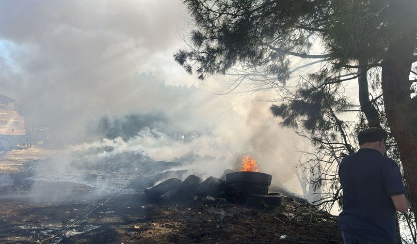 Muğla'da çıkan orman yangını kontrol altına alındı