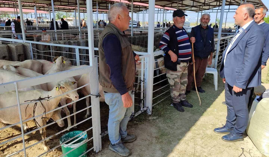 Hayvan pazarında şap alarmı: Geçici olarak kapatıldı!