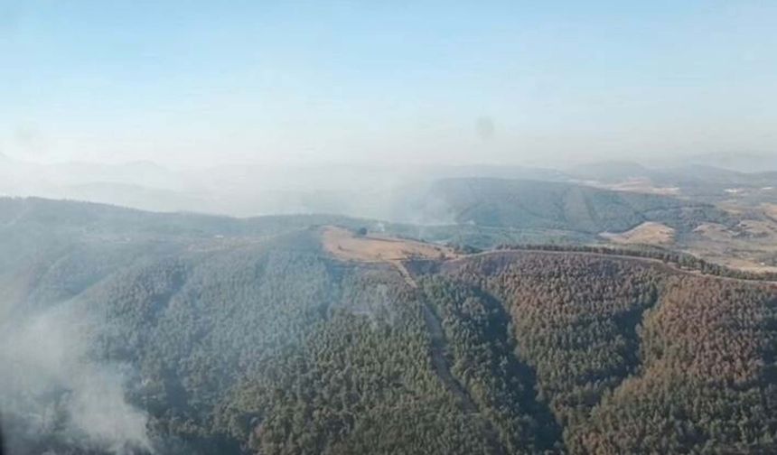 Manisa’da orman yangını 3’üncü gününde