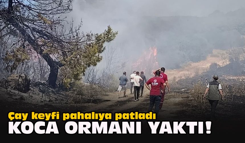 Çay keyfi pahalıya patladı... Koca ormanı yaktı!