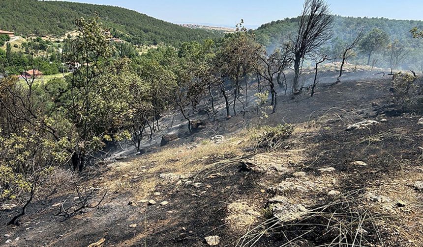 Meşelikte çıkan yangın, 3 saatte söndürüldü