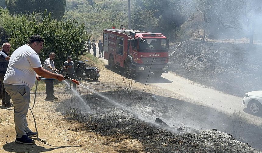 Manisa'daki orman yangını, 2,5 saatte kontrol altına alındı