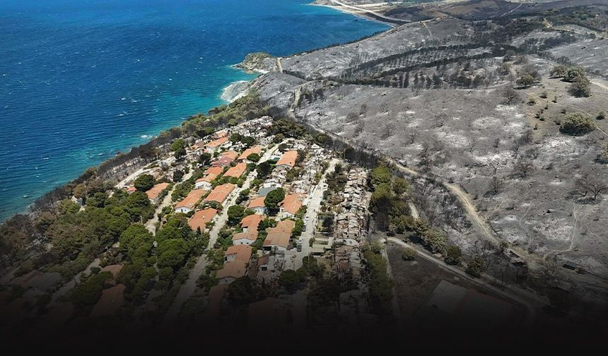 Seferihisar'daki yangın sonrası kahreden görüntü... Griye büründü!