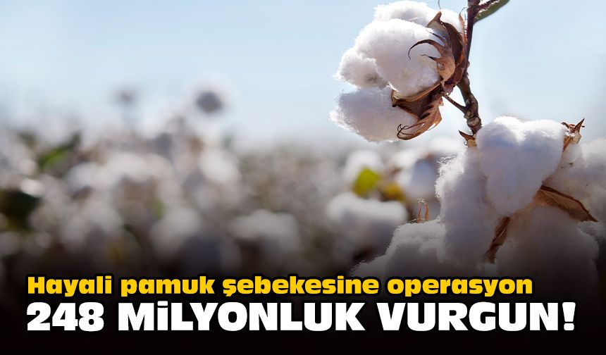 Hayali pamuk şebekesine operasyon 248 milyonluk vurgun!