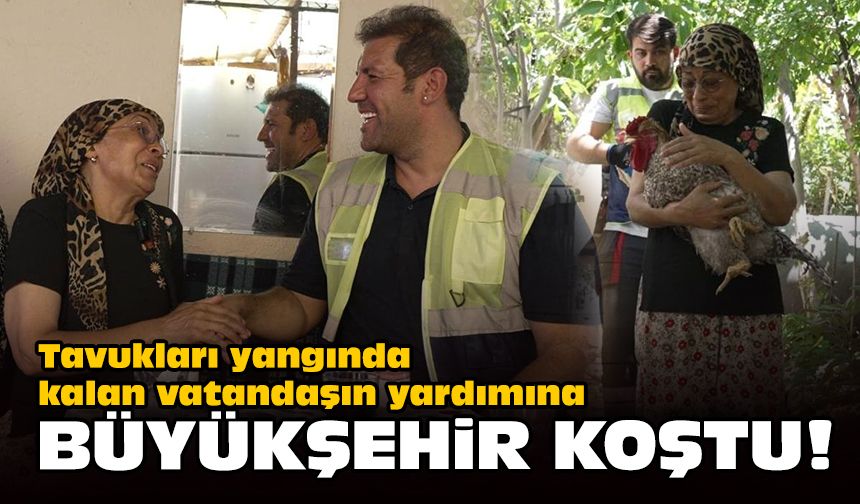Tavukları yangında kalan vatandaşın yardımına Büyükşehir koştu!