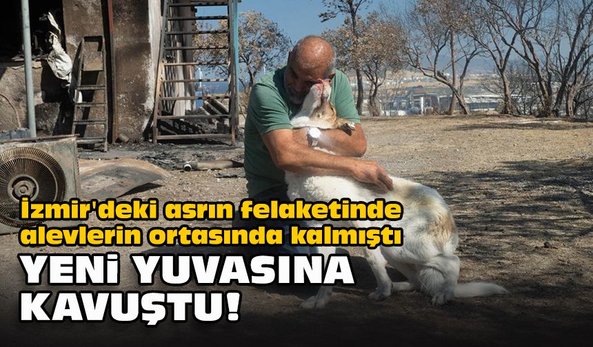 İzmir'deki asrın felaketinde alevlerin ortasında kalmıştı... Yeni yuvasına kavuştu!