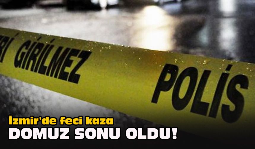 İzmir'de feci kaza... Domuz sonu oldu!