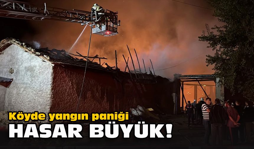 Köyde yangın paniği... Hasar büyük!